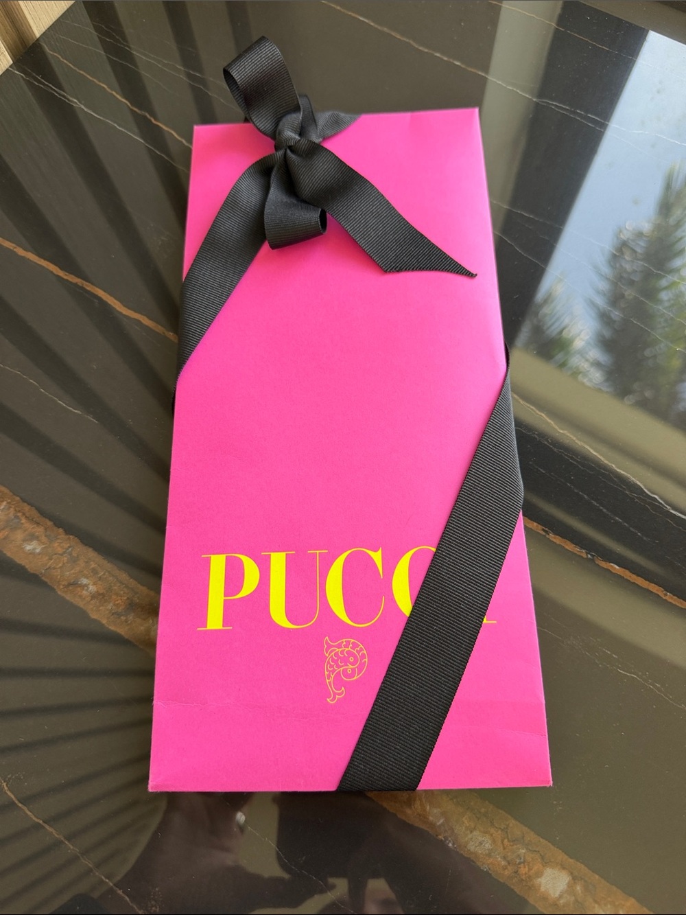 Pucci shopping sleeve
